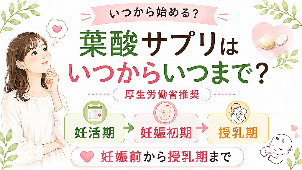 葉酸サプリはいつからいつまで飲む？